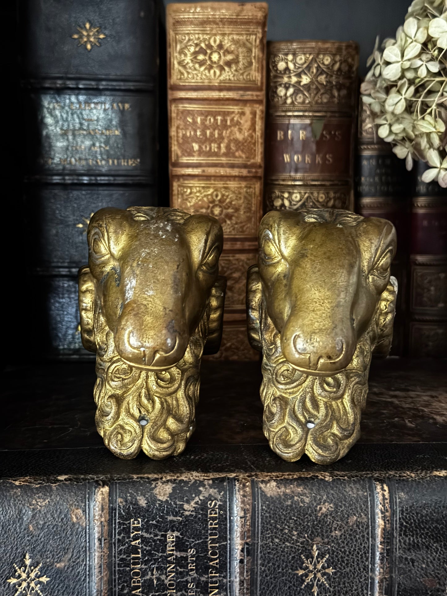 Bronze Ram Head Furniture Salvage