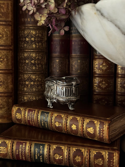 Sterling Silver Salt Jardiniere Cellar