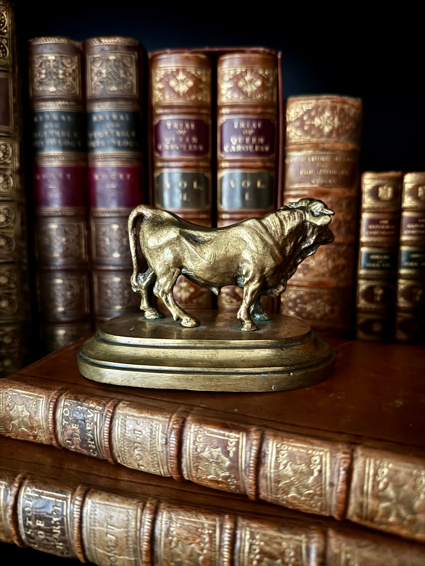 French Bronze Bull
