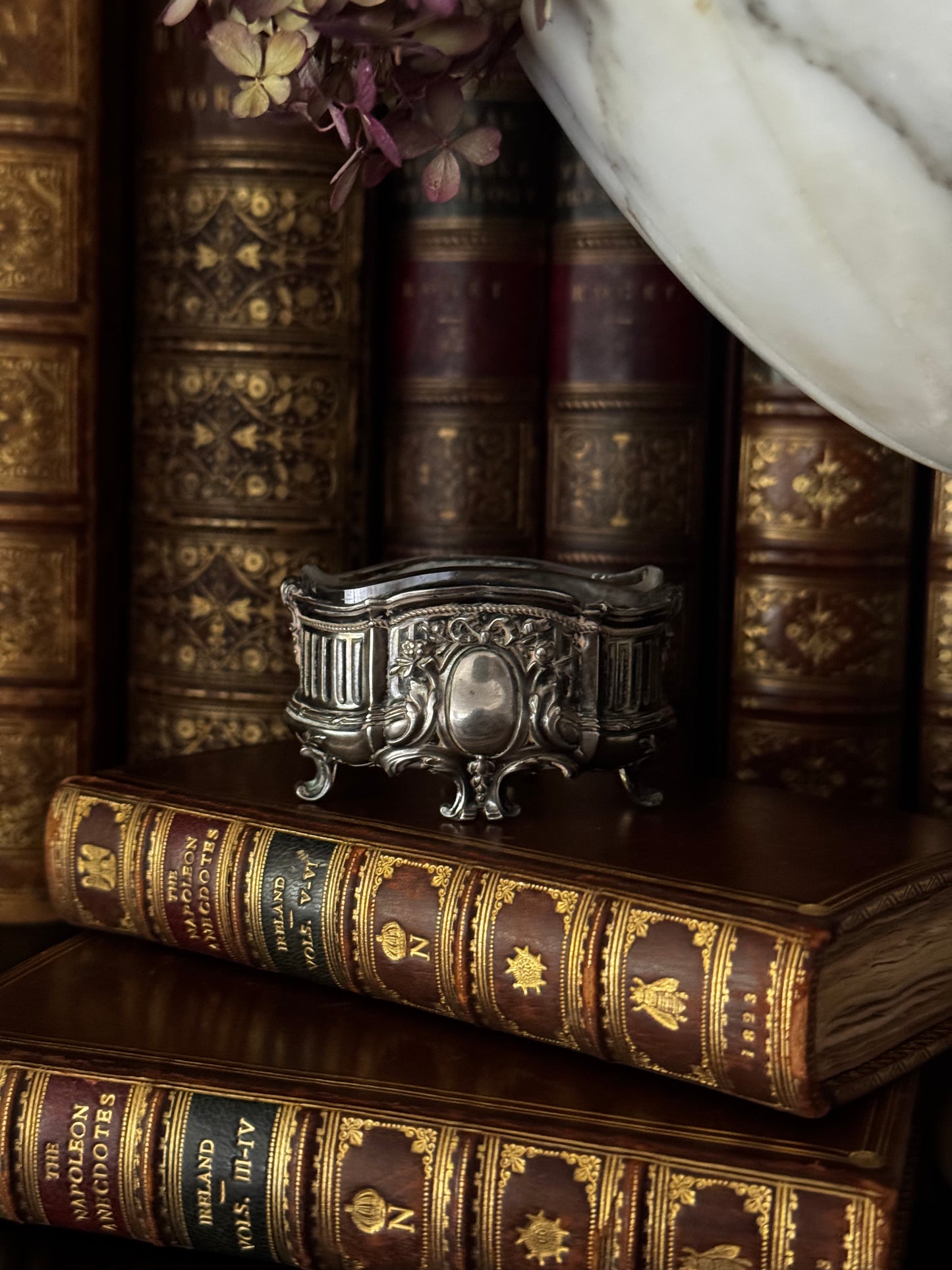 Sterling Silver Salt Jardiniere Cellar