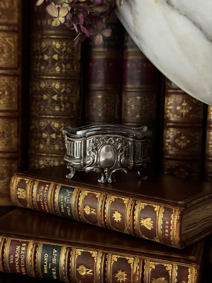 Sterling Silver Salt Jardiniere Cellar