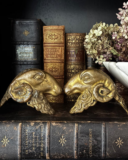 Bronze Ram Head Furniture Salvage