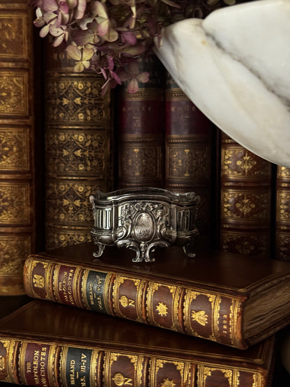 Sterling Silver Salt Jardiniere Cellar