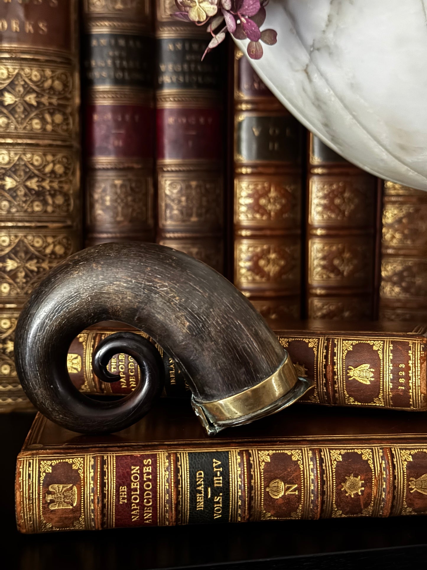Scottish Horn Snuff Mull
